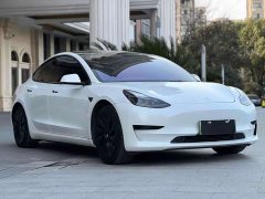 Tesla Model 3 Standard Range Rear Drive Upgraded Version - фото 3