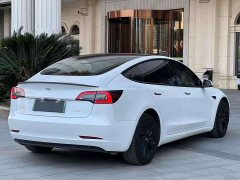 Tesla Model 3 Standard Range Rear Drive Upgraded Version - фото 8