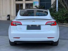 Tesla Model 3 Standard Range Rear Drive Upgraded Version - фото 9