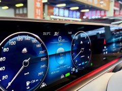 Maybach GLS 480 4MATIC - фото 5