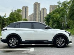 Lynk & Co Nezha U 2021 Pro 500 Moon Edition - фото 15