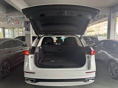 Chery Tiggo 9 2023 2.0T dual-clutch two-wheel drive luxury version 5 seats - фото 19