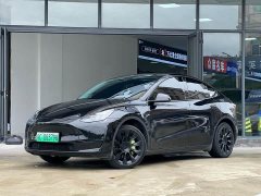 Tesla Model Y 2023 rear-wheel drive version - фото 1