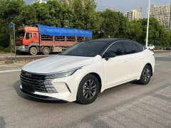 BYD Destroyer 05 Honor Edition DM-i 55KM Luxury Type - фото 1