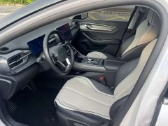 BYD Destroyer 05 Honor Edition DM-i 55KM Luxury Type - фото 11