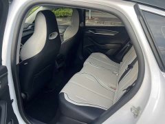 BYD Destroyer 05 Honor Edition DM-i 55KM Luxury Type - фото 13
