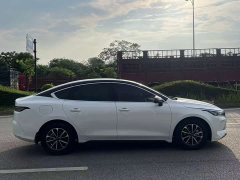 BYD Destroyer 05 Honor Edition DM-i 55KM Luxury Type - фото 6