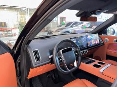 Li Auto Ideal L9 Pro - фото 7