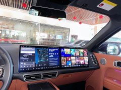 Li Auto Ideal L9 Pro - фото 9