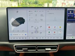Li Auto Ideal L9 2022 Max - фото 18