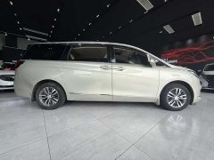 Buick GL8 ES Lu Zun 653T Exclusive Type - фото 15