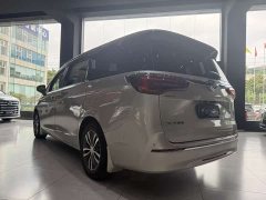 Buick GL8 ES Lu Zun 653T Exclusive Type - фото 18