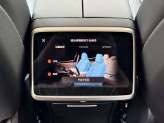 Li Auto Ledo L60 60kWh rear-wheel drive version - фото 16