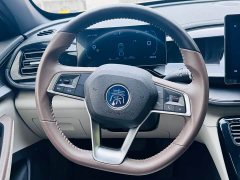 BYD Qin PLUS 2025 DM-i smart driving version 55KM leading - фото 15