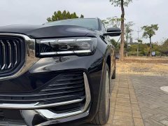 Geely Xingyue L 2024 2.0TD DCT EVO two-wheel drive Changfeng version - фото 10