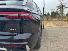 Geely Xingyue L 2024 2.0TD DCT EVO two-wheel drive Changfeng version - фото 11
