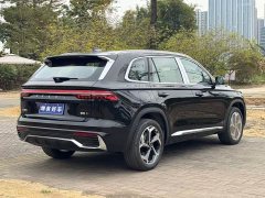 Geely Xingyue L 2024 2.0TD DCT EVO two-wheel drive Changfeng version - фото 7
