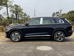 Geely Xingyue L 2024 2.0TD DCT EVO two-wheel drive Changfeng version - фото 8