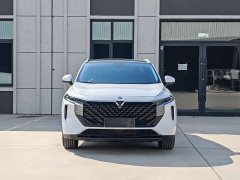 Lynk & Co Venucia V 260T Idol Edition Pro - фото 3
