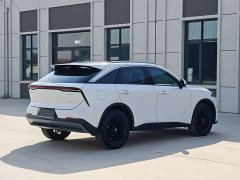Lynk & Co Venucia V 260T Idol Edition Pro - фото 4