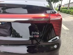Hongqi H5 2.0T Automatic Zhilianqichang Edition - фото 13