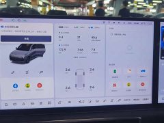 Li Auto Ideal L9 Max - фото 7