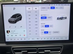 Li Auto Ideal L9 2022 Max - фото 20