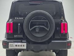 Tank 300 Off-Road Version 2.0T Conqueror - фото 6