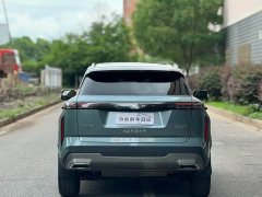 Lexus Explore 06 urban version 1.6T two-wheel drive luxury - фото 9