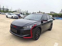BMW Yixuan GS 230T automatic wind chasing version - фото 1