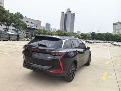 BMW Yixuan GS 230T automatic wind chasing version - фото 17