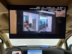 Voyah Lantu Dreamer PHEV four-wheel drive premium Qiankun version - фото 15