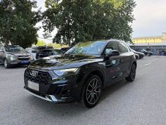 Audi Q5L 45th Anniversary Collector's Edition 45 TFSI Luxurious and Dynamic - фото 1