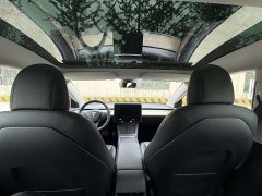 Tesla Model 3 facelift standard range rear drive upgraded version 3D1 - фото 12