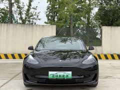 Tesla Model 3 facelift standard range rear drive upgraded version 3D1 - фото 3