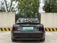 Tesla Model 3 facelift standard range rear drive upgraded version 3D1 - фото 6