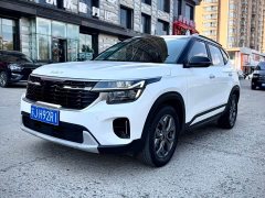 Lexus Sethus 1.5L CVT Deluxe Edition - фото 1