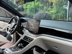 BYD Song PLUS New Energy 2021 DM-i 110KM flagship PLUS 5G version - фото 5