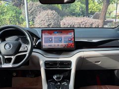 BYD Song PLUS New Energy 2021 DM-i 110KM flagship PLUS 5G version - фото 8
