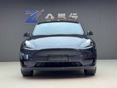 Tesla Model Y rear-wheel drive version - фото 2