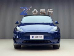 Tesla Model Y rear-wheel drive version - фото 2
