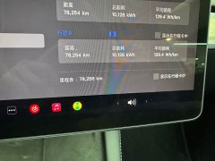 Tesla Model Y rear-wheel drive version - фото 5