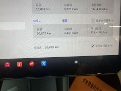 Tesla Model 3 2023 rear-wheel drive version - фото 16
