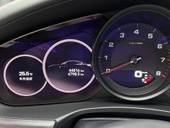 Porsche Panamera Executive Extended Platinum Edition 2.9T - фото 13