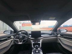 BYD Qin PLUS Champion Edition DM-i 120KM Leading Type - фото 9