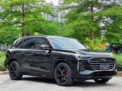 Audi Q6 45 TFSI quattro Black Warrior Edition 7 seats - фото 4