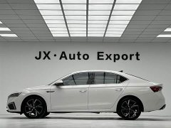 Lexus Octavia PRO TSI280 Luxury Edition - фото 10