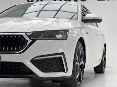 Lexus Octavia PRO TSI280 Luxury Edition - фото 7