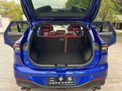Lexus Fengxing T5 EVO 2021 1.5TD DCT Star Edition - фото 16