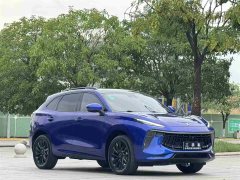 Lexus Fengxing T5 EVO 2021 1.5TD DCT Star Edition - фото 3